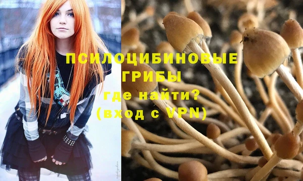 PSILOCYBIN Алексин