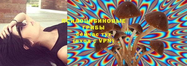 PSILOCYBIN Алексин